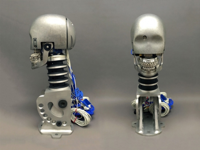 EMLSH - Device for evaluating mouthguard's ability to attenuate impact energies - Product Design and Engineering